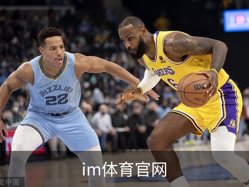 im体育官网简介